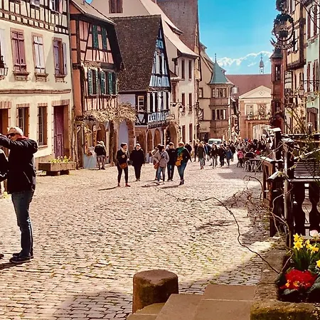 LA RUELLE ALSACIENNE, Appartement Cosy au Calme, Centre Historique, Route des Vins Riquewihr Extérieur photo
