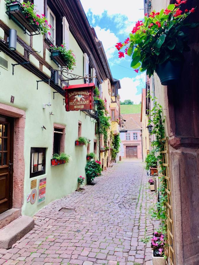 La Ruelle Alsacienne, Charme Alsacien Et Confort Moderne Apartment Riquewihr