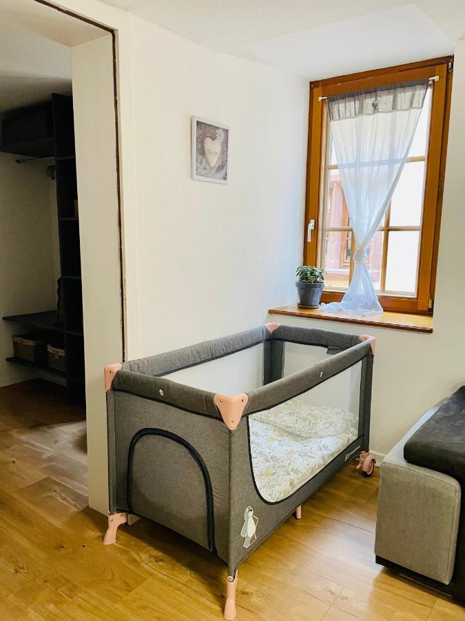 Appartement La Ruelle Alsacienne, Cosy Au Calme, Centre Historique, Route Des Vins Riquewihr